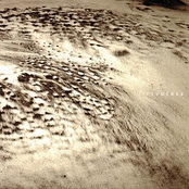 Rivulets