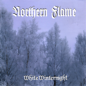 White Winternight