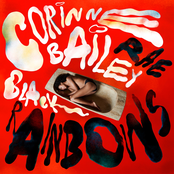 Black Rainbows cover