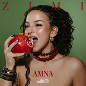 Zimi