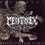 Bloodhunt/Reborn Through Flames