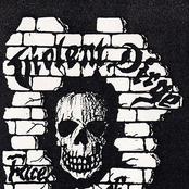 Face Of X-Tremity