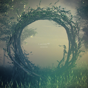 Lucoq HD
