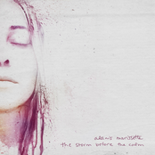 The Storm Before the Calm cover