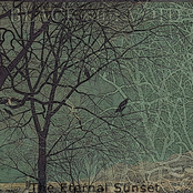 The Eternal Sunset