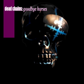 Goodbye Horses