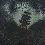 The Aphotic Vortex