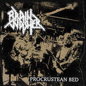 Procrustean Bed