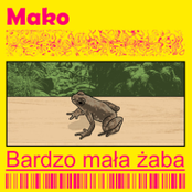 Bardzo Mała Żaba