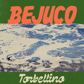 Torbellino