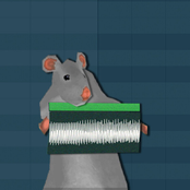 rat beat