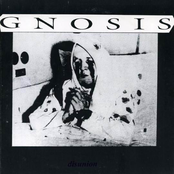 Disunion
