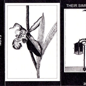 Their Simple Nature