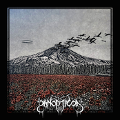 The Poppies Bloom For No King (EP)