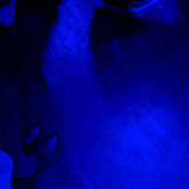 Nights
