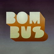 Bombus – Bombus