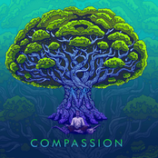 Compassion