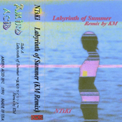 Labyrinth of Summer (KM Remix)