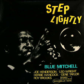 Step Lightly