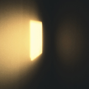 Daylight