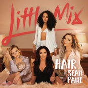 Hair cover