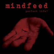 Perfect Life?