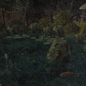 魂の苗木 LOCAL