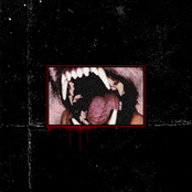 Teeth 1