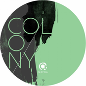 Colony