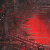call of the night
