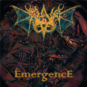 Emergence