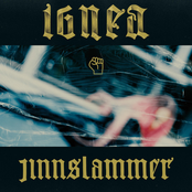 Jinnslammer