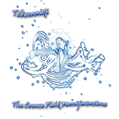 The Source Field Manifestations