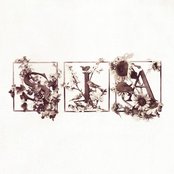 Sia - Breathe Me
