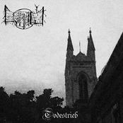 Todestrieb