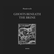 Ghosts Beneath The Brine