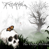 The Decay Within