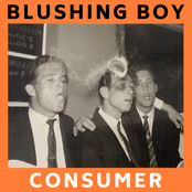 Consumer