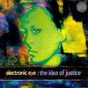 The Idea of Justice