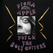 Fetch the Bolt Cutters cover