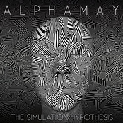 The Simulation Hypothesis