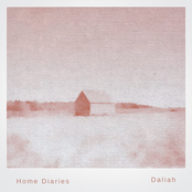 Home Diaries 024