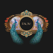 Pauw