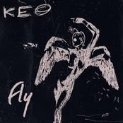 Fly