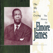 The Sky Is Crying: The History of Elmore James