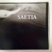Saetia
