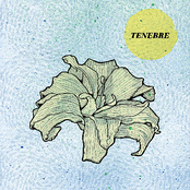 Tenebre EP