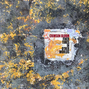 Crimson Bloom – Finer Times in Other Worlds