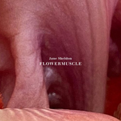 flowermuscle