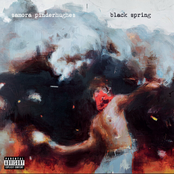 Samora Pinderhughes – Black Spring